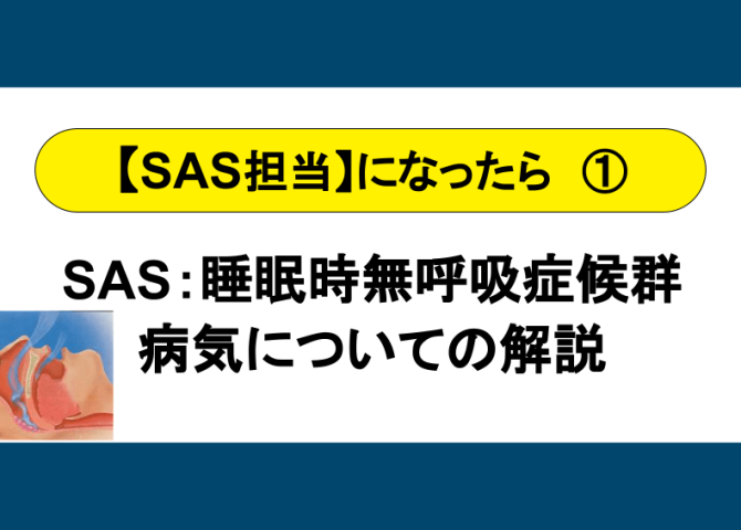 SAS担当になったら① ～SAS（睡眠時無呼吸症候群）についての解説～【全６回】